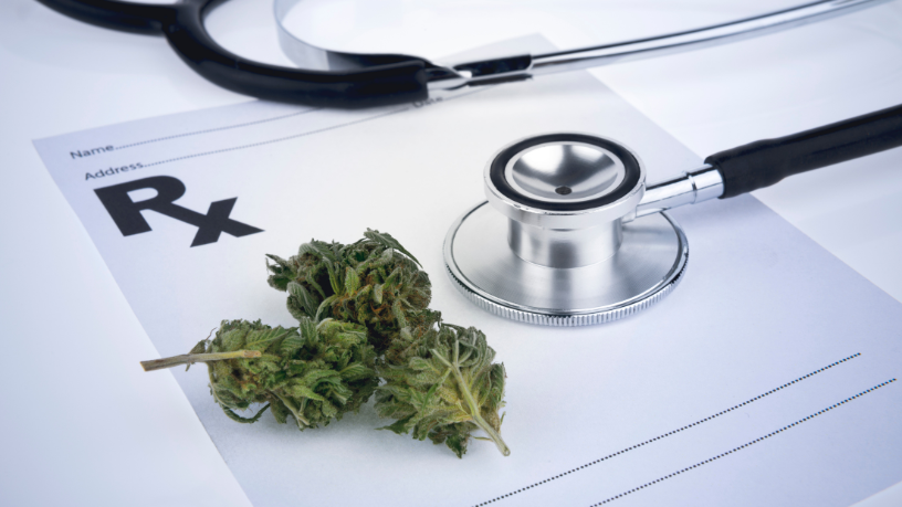 Fibromialgia e qualidade de vida podem ser transformadas pelo uso da Cannabis medicinal, destaca Ciro Antonio Taques.